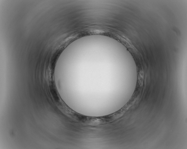 X0000113220330200909100928
