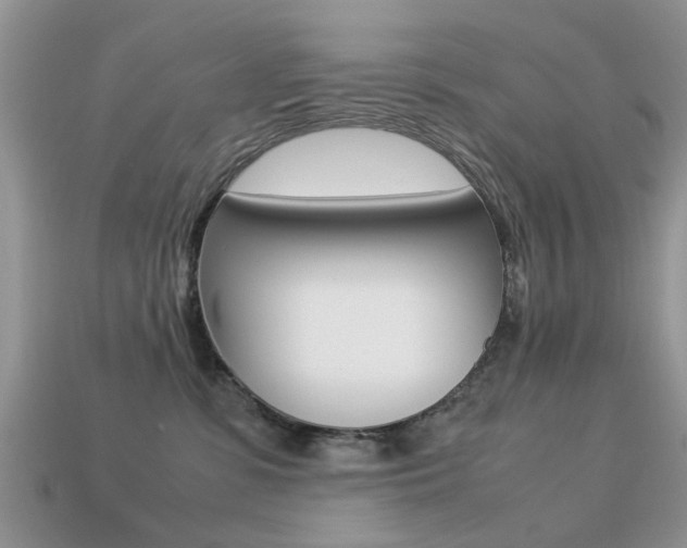 X0000113220331200909100928