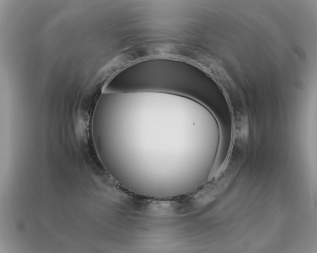 X0000113220332200909100928