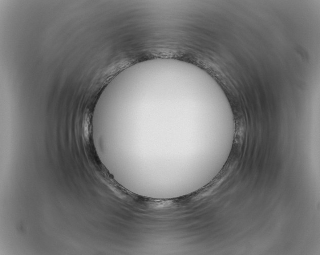 X0000113220334200909100928