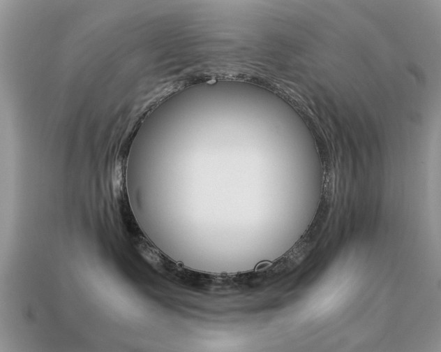 X0000113220335200909100928