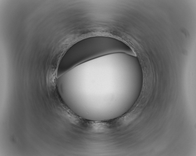 X0000113220336200909100928