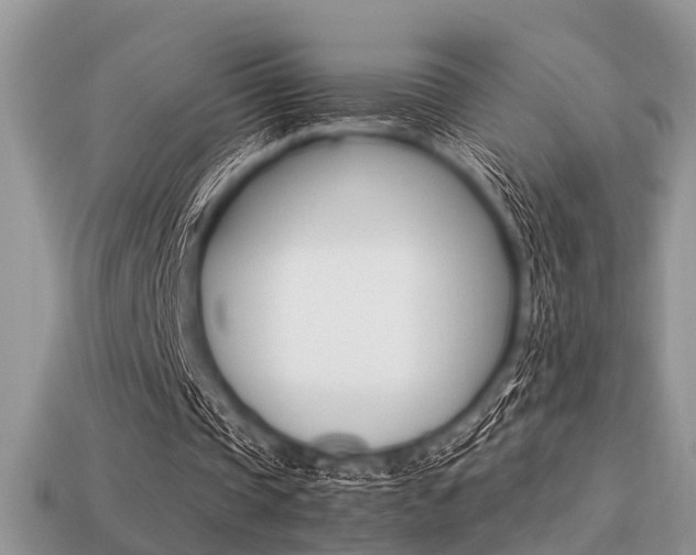 X0000113220337200909100927