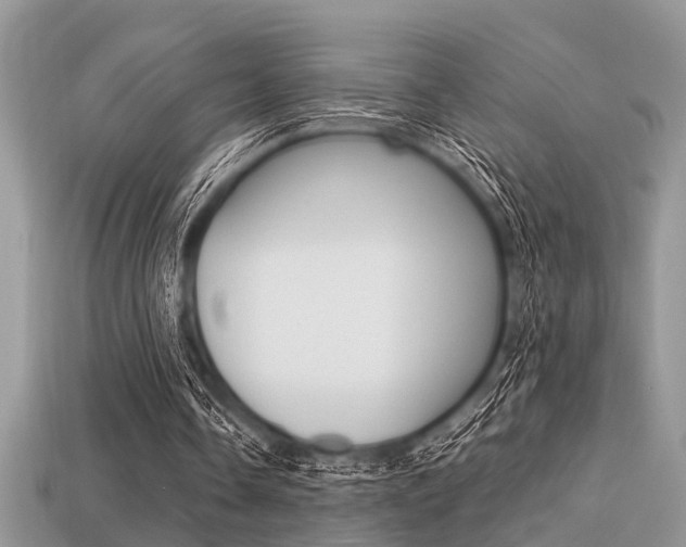 X0000113220338200909100927