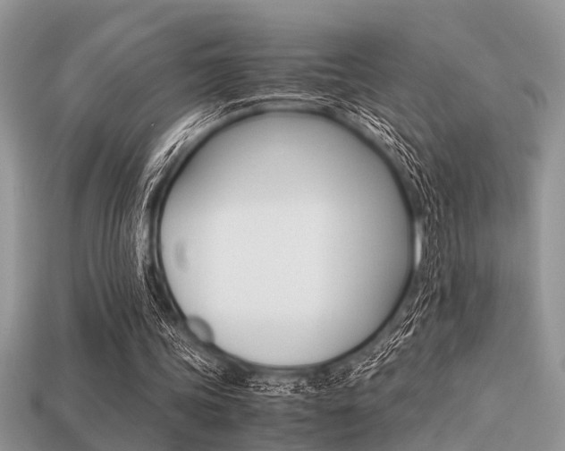 X0000113220339200909100927