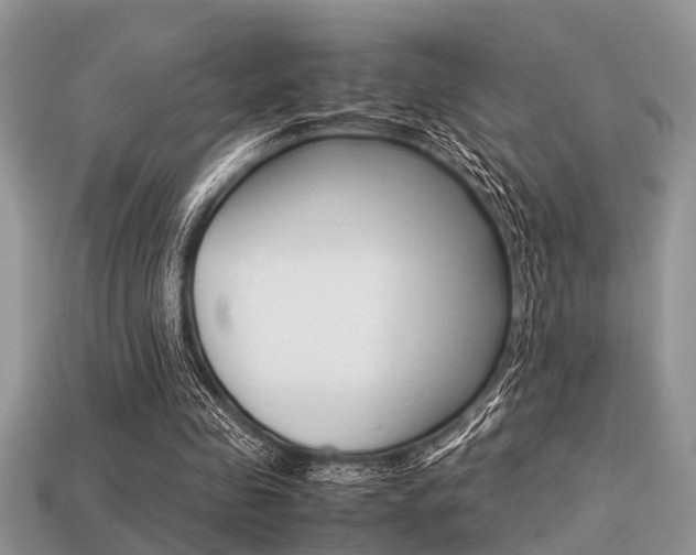 X0000113220341200909100927