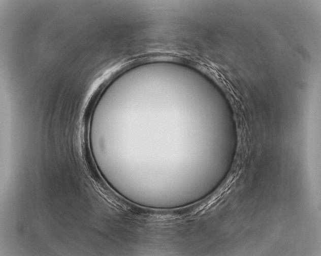 X0000113220342200909100927