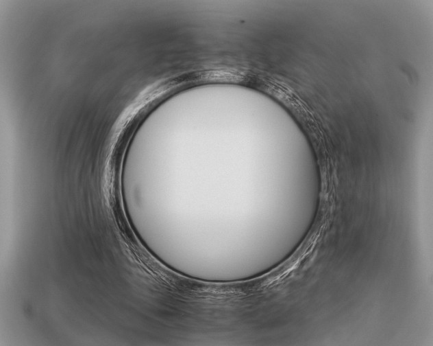 X0000113220343200909100927