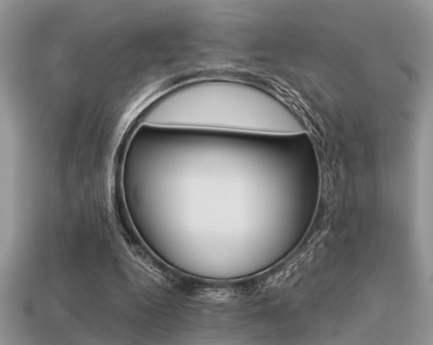 X0000113220344200909100927