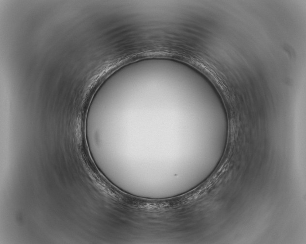 X0000113220345200909100927