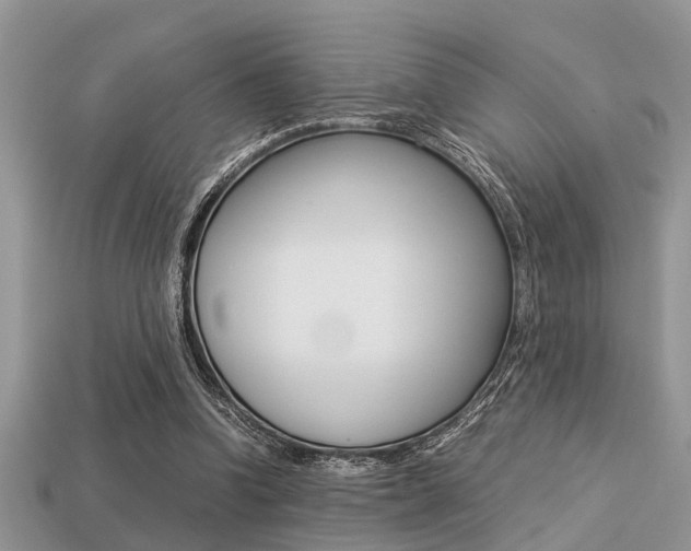 X0000113220346200909100927