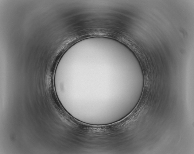 X0000113220347200909100927
