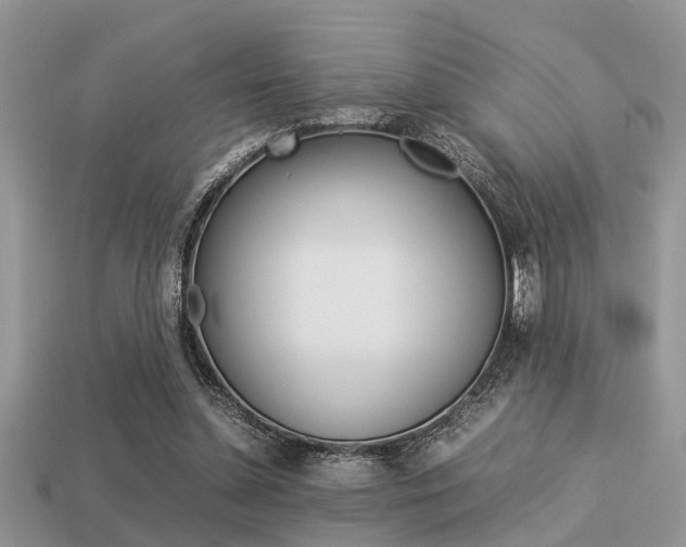 X0000113220348200909100927
