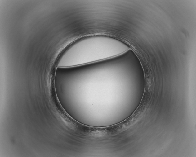 X0000113220350200909100927