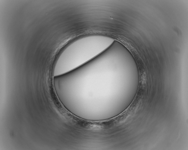 X0000113220352200909100927
