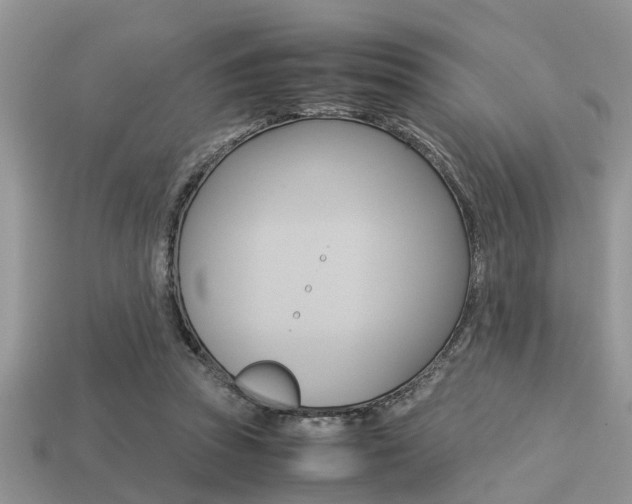 X0000113220353200909100927