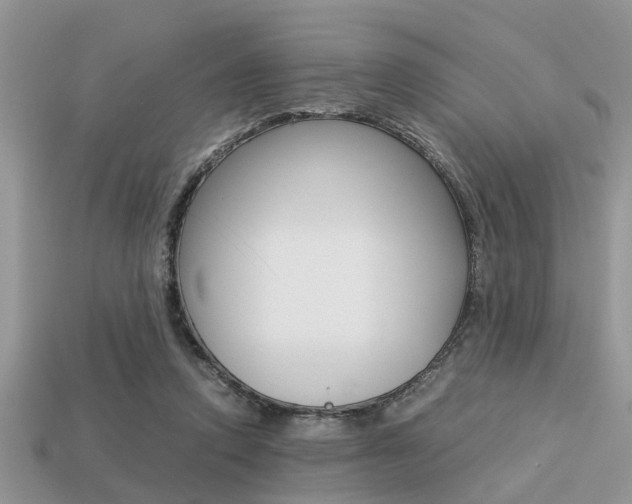 X0000113220354200909100927
