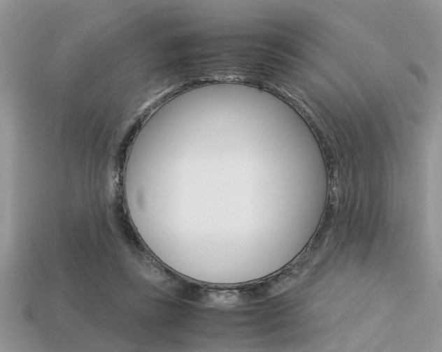 X0000113220355200909100927