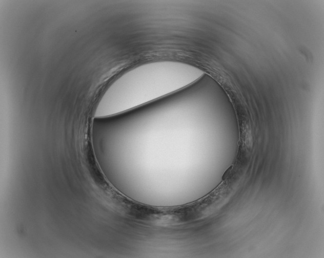 X0000113220356200909100927