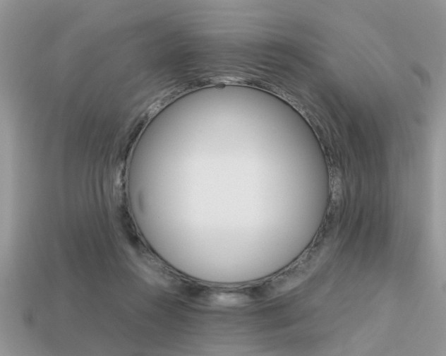 X0000113220360200909100927