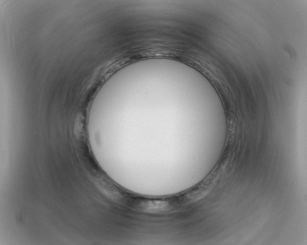 X0000113220361200909100927