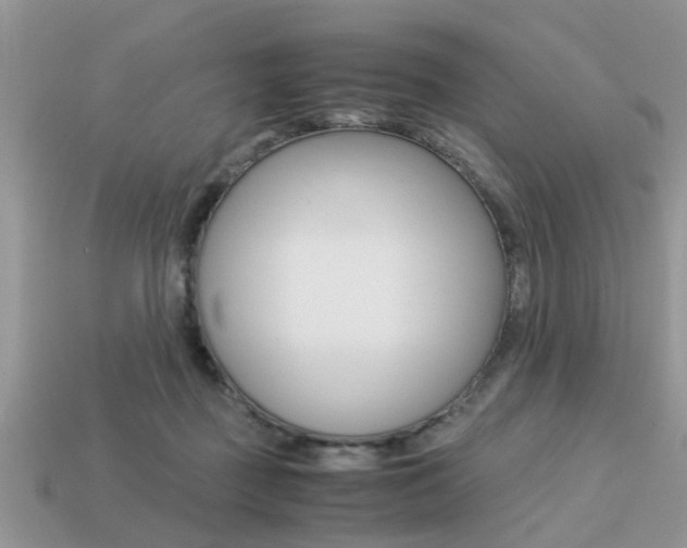 X0000113220363200909100927