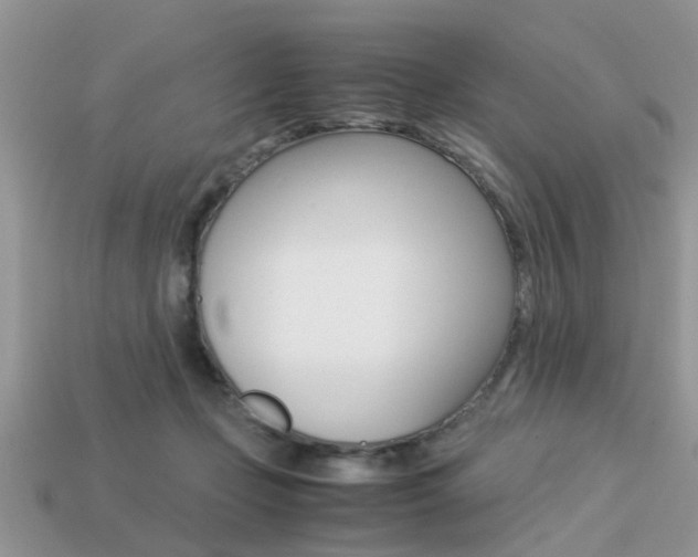 X0000113220365200909100927