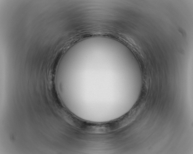 X0000113220366200909100927