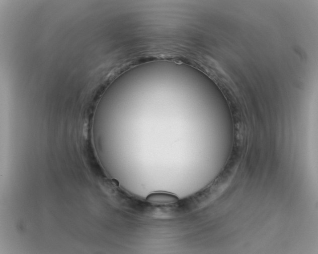 X0000113220368200909100927
