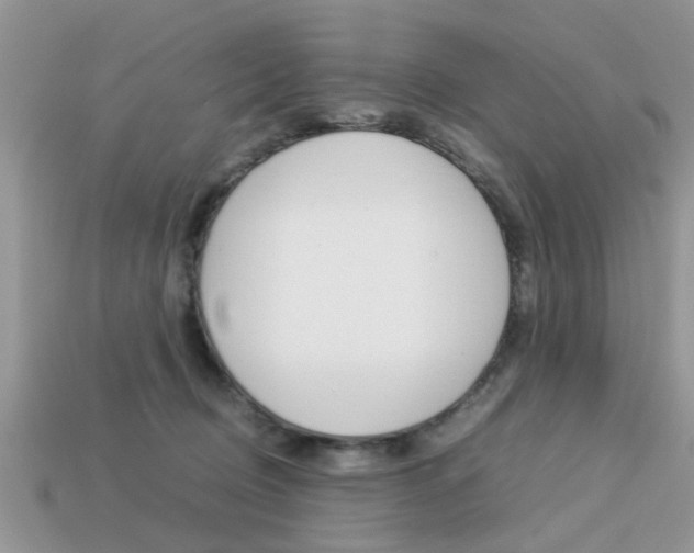 X0000113220370200909100927