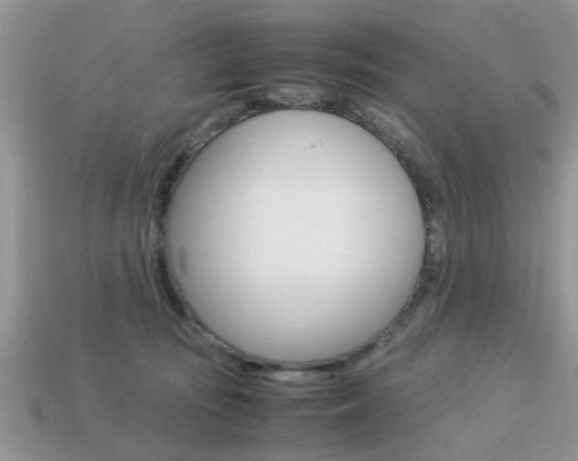 X0000113220371200909100927
