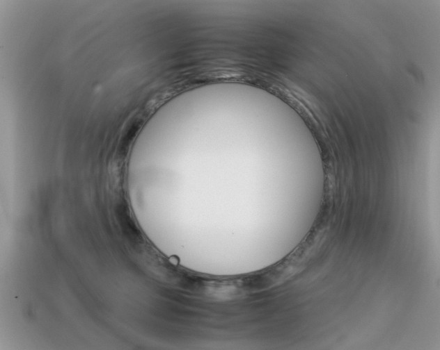 X0000113220373200909100927
