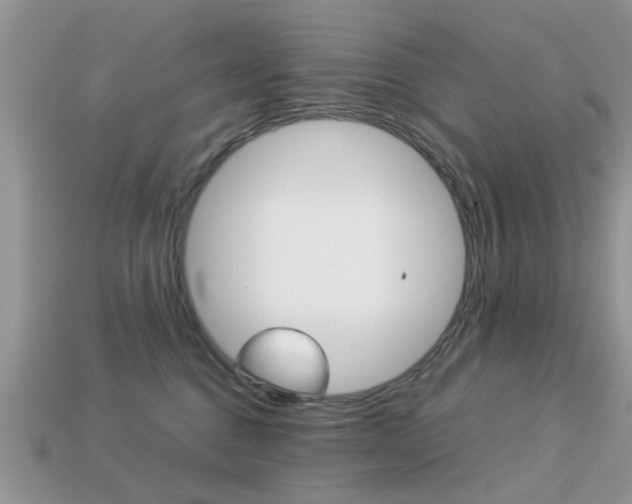 X0000113220376200909100928