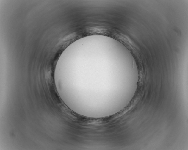 X0000113220377200909100928