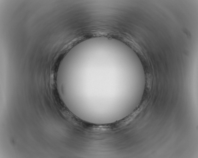 X0000113220378200909100928