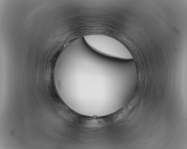 X0000113220379200909100928