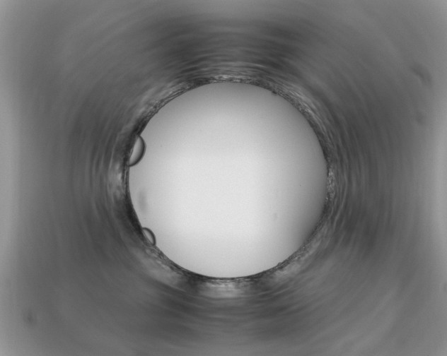X0000113220381200909100928