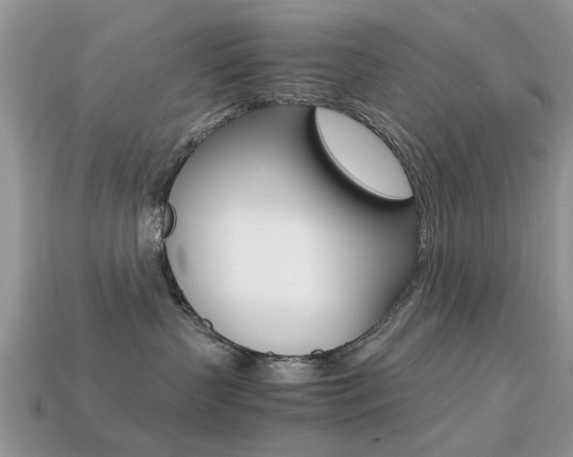 X0000113220383200909100928