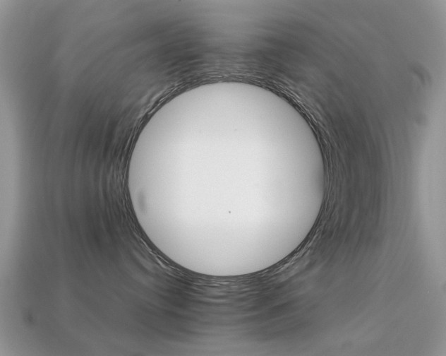 X0000113220384200909100928