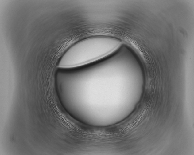 X0000113220385200909100927