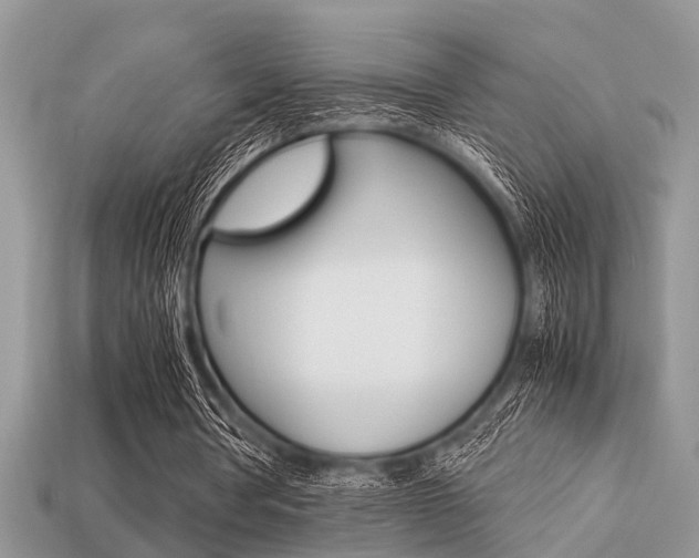 X0000113220386200909100927