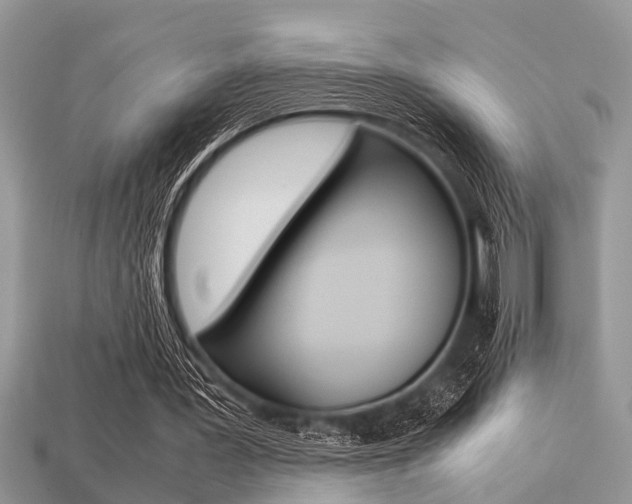 X0000113220387200909100927