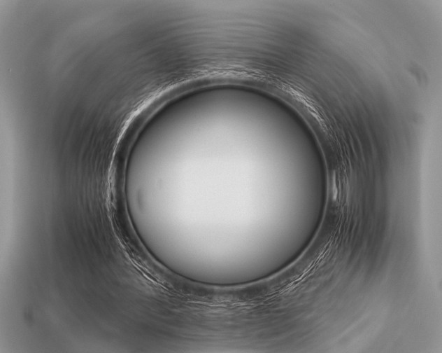 X0000113220388200909100927