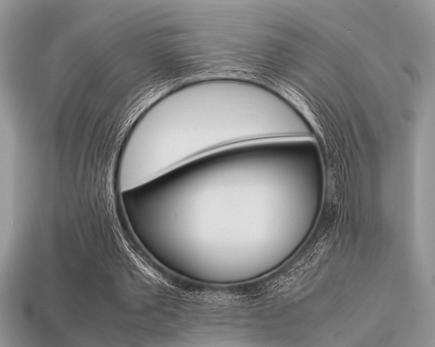 X0000113220389200909100927