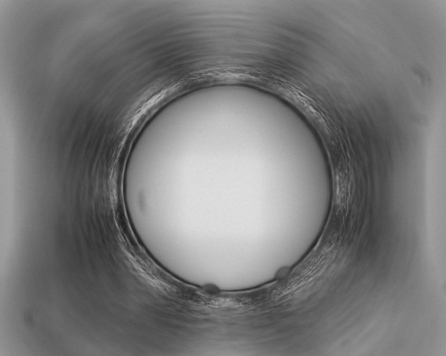 X0000113220390200909100927