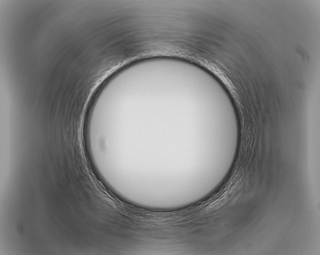 X0000113220391200909100927