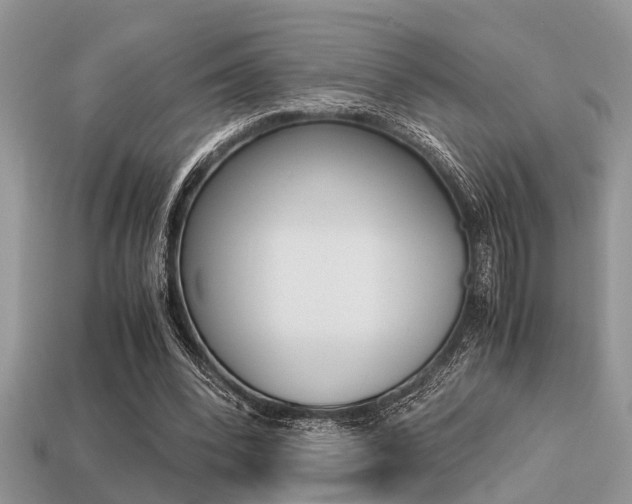 X0000113220392200909100927