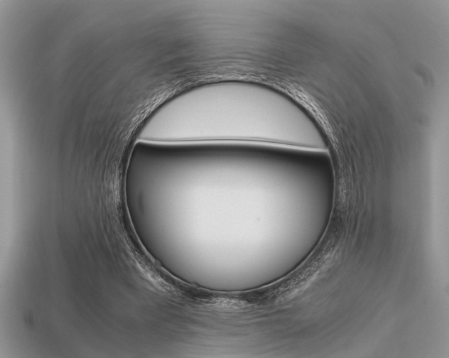 X0000113220393200909100927