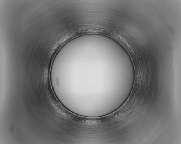 X0000113220394200909100927