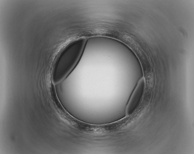 X0000113220395200909100927
